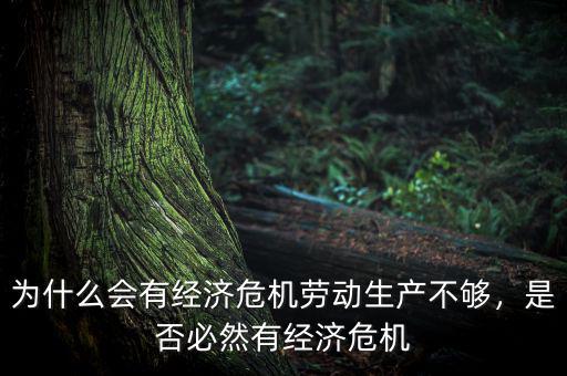 為什么會(huì)有經(jīng)濟(jì)危機(jī)勞動(dòng)生產(chǎn)不夠，是否必然有經(jīng)濟(jì)危機(jī)