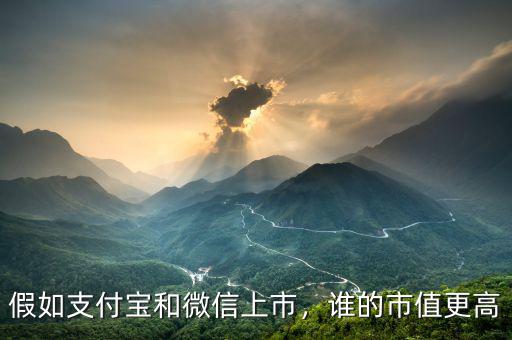 假如支付寶和微信上市，誰的市值更高