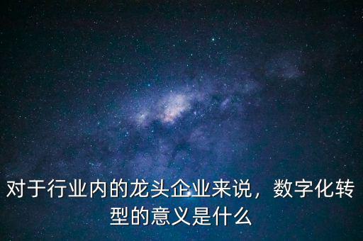 對(duì)于行業(yè)內(nèi)的龍頭企業(yè)來說，數(shù)字化轉(zhuǎn)型的意義是什么