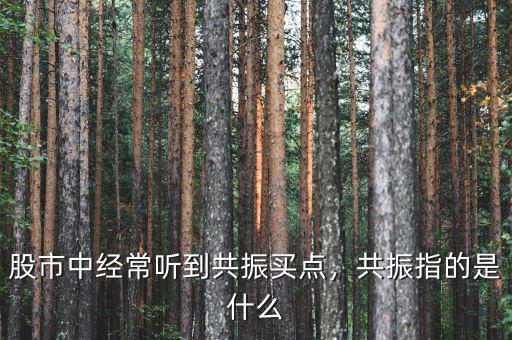 股市中經(jīng)常聽到共振買點，共振指的是什么