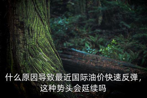 什么原因?qū)е伦罱鼑H油價快速反彈，這種勢頭會延續(xù)嗎