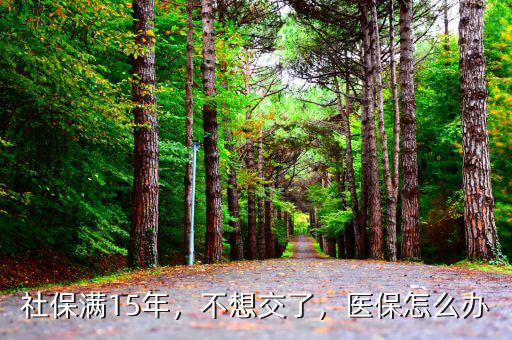 社保滿15年，不想交了，醫(yī)保怎么辦