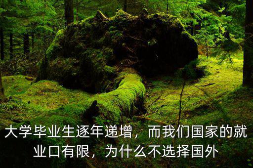 大學(xué)畢業(yè)生逐年遞增，而我們國(guó)家的就業(yè)口有限，為什么不選擇國(guó)外