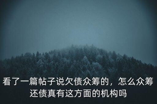 看了一篇帖子說欠債眾籌的，怎么眾籌還債真有這方面的機構(gòu)嗎