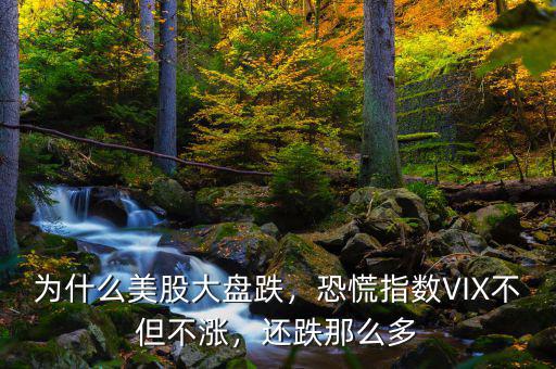 為什么美股大盤跌，恐慌指數(shù)VIX不但不漲，還跌那么多