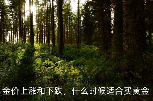 金價(jià)上漲和下跌，什么時(shí)候適合買黃金