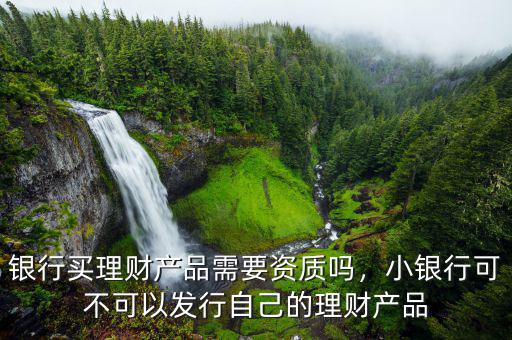 銀行買理財產(chǎn)品需要資質(zhì)嗎，小銀行可不可以發(fā)行自己的理財產(chǎn)品