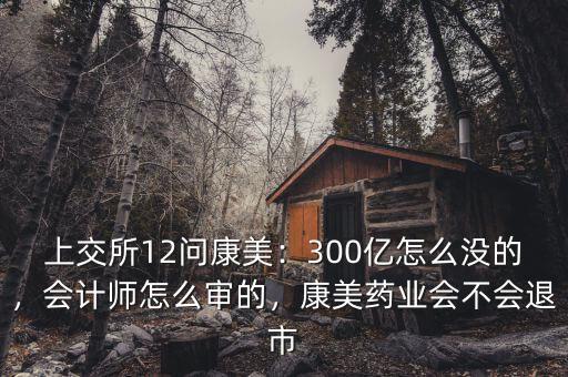 上交所12問康美：300億怎么沒的，會計師怎么審的，康美藥業(yè)會不會退市