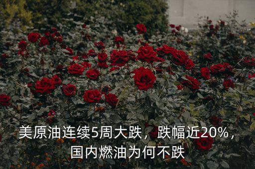 美原油連續(xù)5周大跌，跌幅近20%，國內(nèi)燃油為何不跌