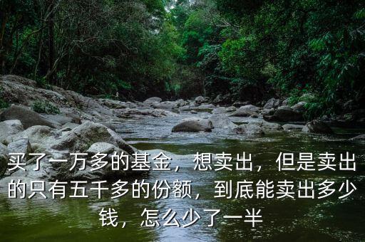 買了一萬多的基金，想賣出，但是賣出的只有五千多的份額，到底能賣出多少錢，怎么少了一半