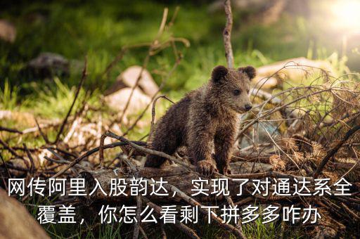 網(wǎng)傳阿里入股韻達，實現(xiàn)了對通達系全覆蓋，你怎么看剩下拼多多咋辦