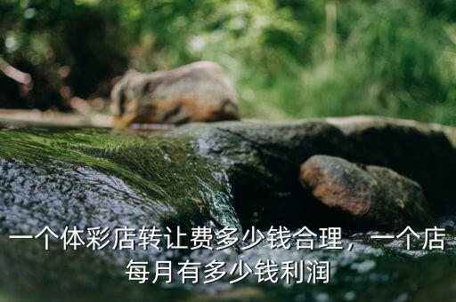 一個體彩店轉(zhuǎn)讓費(fèi)多少錢合理，一個店每月有多少錢利潤