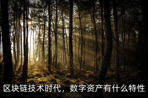 區(qū)塊鏈技術(shù)時代，數(shù)字資產(chǎn)有什么特性