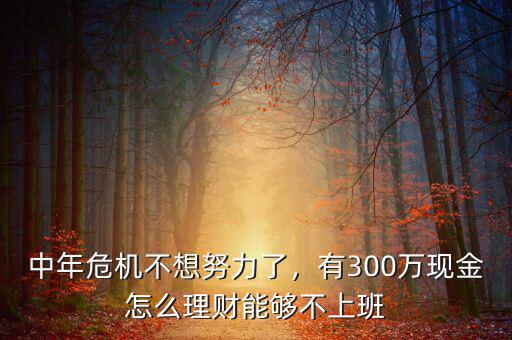 中年危機(jī)不想努力了，有300萬(wàn)現(xiàn)金怎么理財(cái)能夠不上班