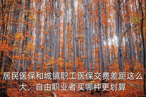 居民醫(yī)保和城鎮(zhèn)職工醫(yī)保交費(fèi)差距這么大，自由職業(yè)者買哪種更劃算