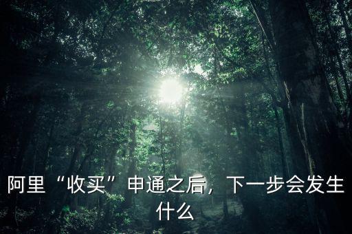 阿里“收買”申通之后，下一步會發(fā)生什么
