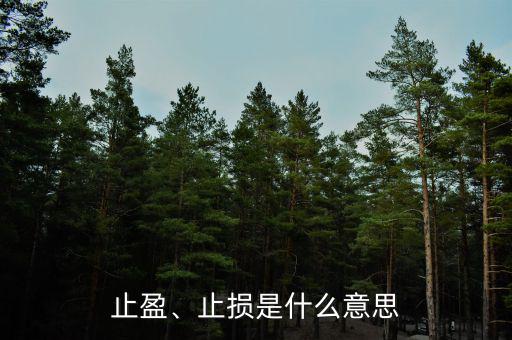 止盈、止損是什么意思