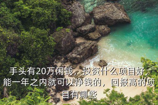 手頭有20萬閑錢，投資什么項目好，能一年之內(nèi)就可以掙錢的，回報高的項目有哪些