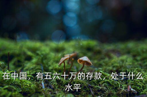在中國，有五六十萬的存款，處于什么水平