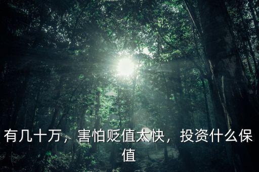有幾十萬(wàn)，害怕貶值太快，投資什么保值