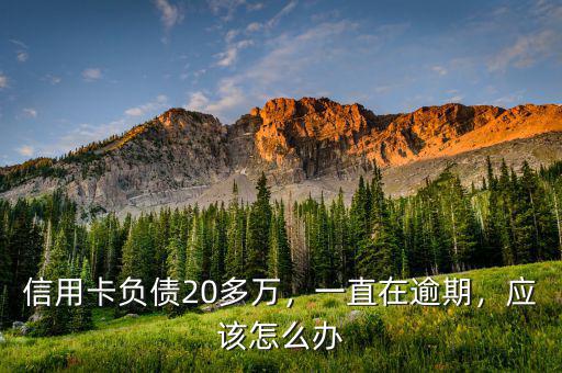 信用卡負(fù)債20多萬，一直在逾期，應(yīng)該怎么辦