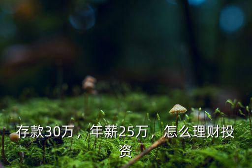 存款30萬，年薪25萬，怎么理財投資