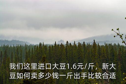 我們這里進(jìn)口大豆1.6元/斤，新大豆如何賣多少錢一斤出手比較合適