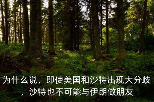 為什么說(shuō)，即使美國(guó)和沙特出現(xiàn)大分歧，沙特也不可能與伊朗做朋友