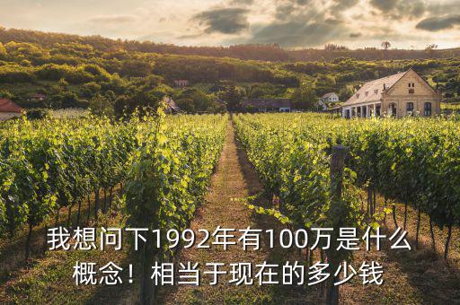 我想問(wèn)下1992年有100萬(wàn)是什么概念！相當(dāng)于現(xiàn)在的多少錢(qián)