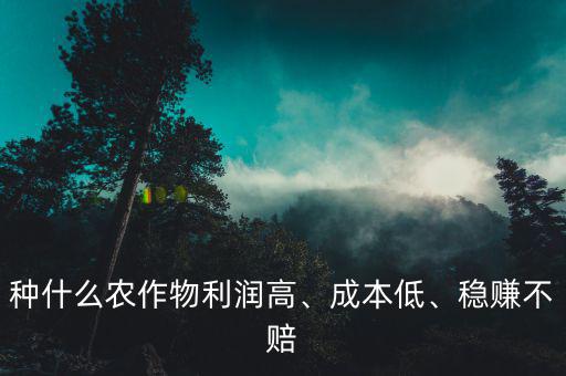 種什么農(nóng)作物利潤高、成本低、穩(wěn)賺不賠