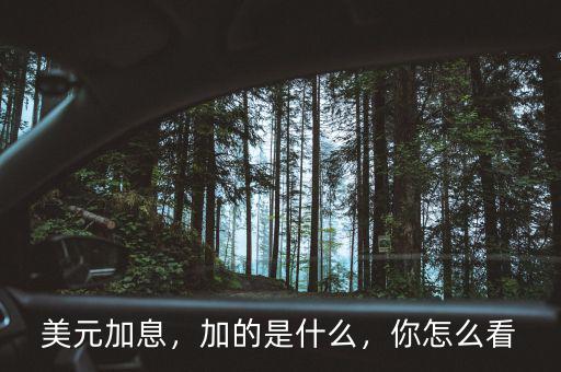 美元加息什么意思,美聯(lián)儲(chǔ)加息是什么意思