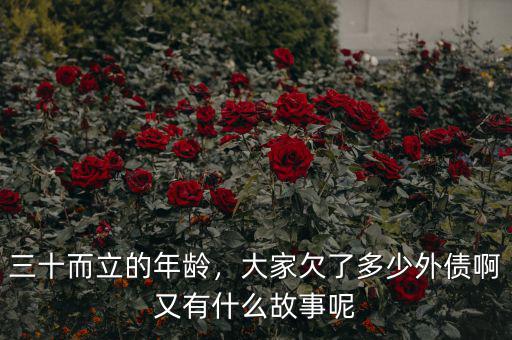 三十而立的年齡，大家欠了多少外債啊又有什么故事呢
