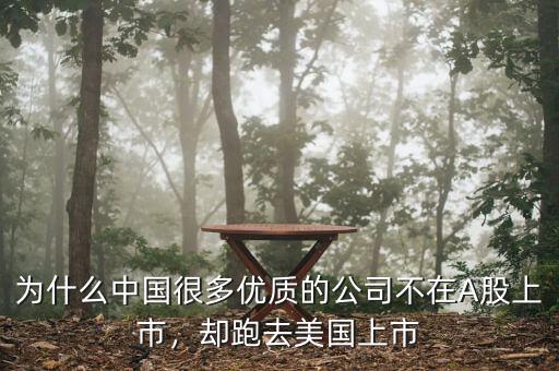為什么中國很多優(yōu)質(zhì)的公司不在A股上市，卻跑去美國上市