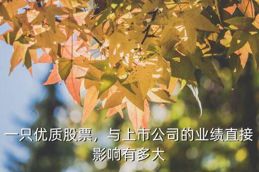 什么是優(yōu)質股票,好股票的標準是什么