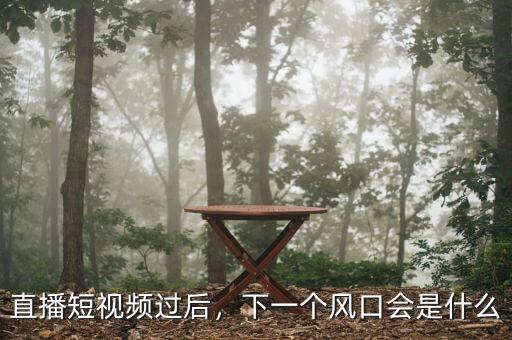 直播短視頻過后，下一個風(fēng)口會是什么