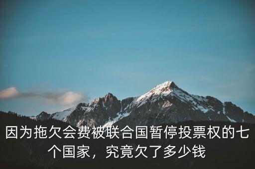 因?yàn)橥锨窌?huì)費(fèi)被聯(lián)合國(guó)暫停投票權(quán)的七個(gè)國(guó)家，究竟欠了多少錢