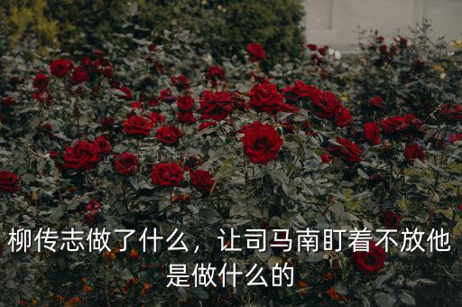 柳傳志做了什么，讓司馬南盯著不放他是做什么的
