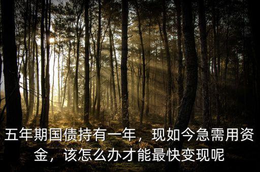 五年期國債持有一年，現(xiàn)如今急需用資金，該怎么辦才能最快變現(xiàn)呢