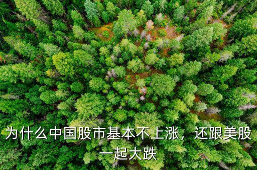 為什么中國(guó)股市基本不上漲，還跟美股一起大跌