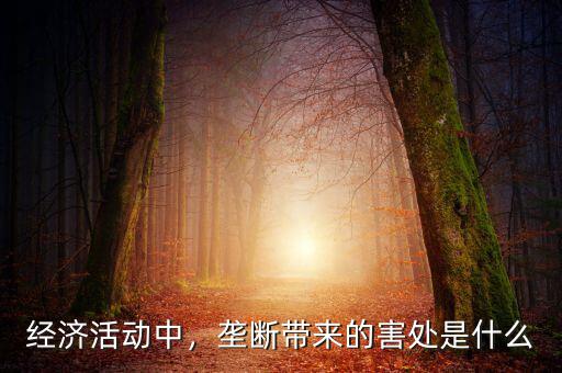 經(jīng)濟(jì)活動中，壟斷帶來的害處是什么