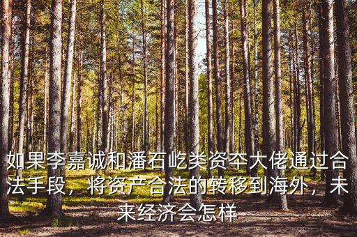 如果李嘉誠和潘石屹類資夲大佬通過合法手段，將資產(chǎn)合法的轉(zhuǎn)移到海外，未來經(jīng)濟(jì)會怎樣