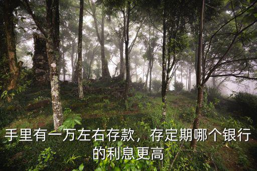 手里有一萬(wàn)左右存款，存定期哪個(gè)銀行的利息更高