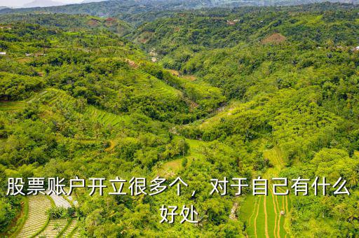 股票賬戶開立很多個，對于自己有什么好處
