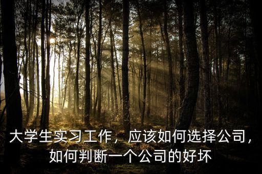 大學(xué)生實(shí)習(xí)工作，應(yīng)該如何選擇公司，如何判斷一個(gè)公司的好壞
