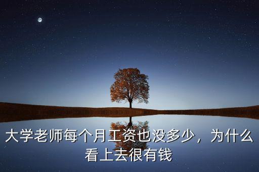 大學(xué)老師每個月工資也沒多少，為什么看上去很有錢