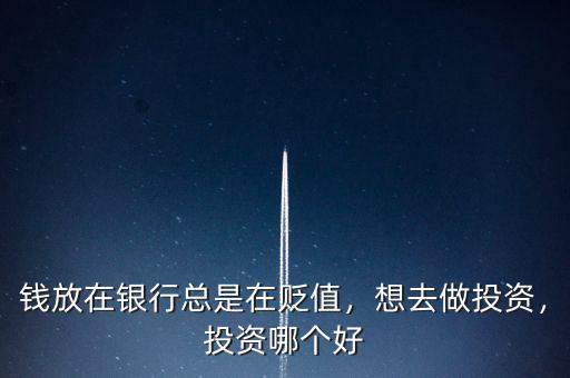 錢放在銀行總是在貶值，想去做投資，投資哪個好