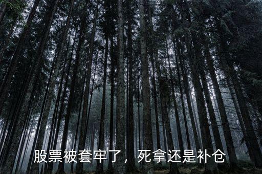 股票被套牢了，死拿還是補(bǔ)倉