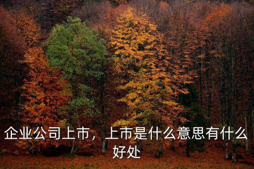 企業(yè)公司上市，上市是什么意思有什么好處