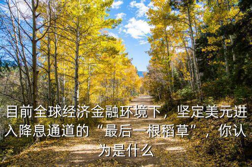 目前全球經(jīng)濟(jì)金融環(huán)境下，堅(jiān)定美元進(jìn)入降息通道的“最后一根稻草”，你認(rèn)為是什么
