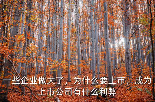 一些企業(yè)做大了，為什么要上市，成為上市公司有什么利弊